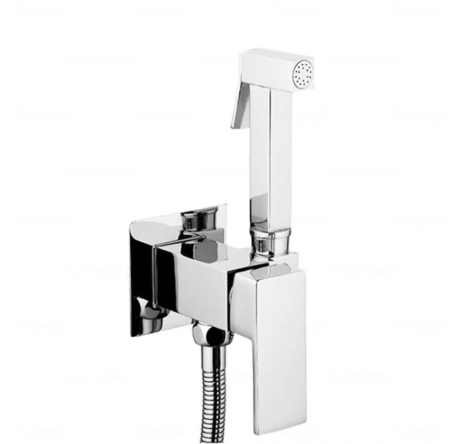 Смеситель с гигиеническим душем Feramolli CL212, хром