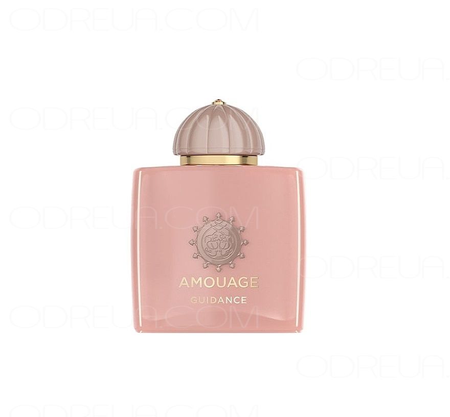 Amouage Guidance