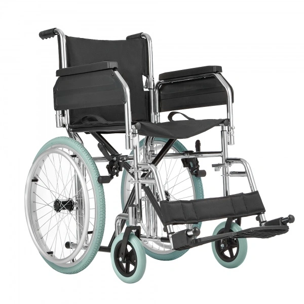 Ortonica Home 60