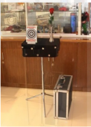 #НЕНОВЫЙ Иллюзион Выстрел сквозь колоду Jumbo Sidekick