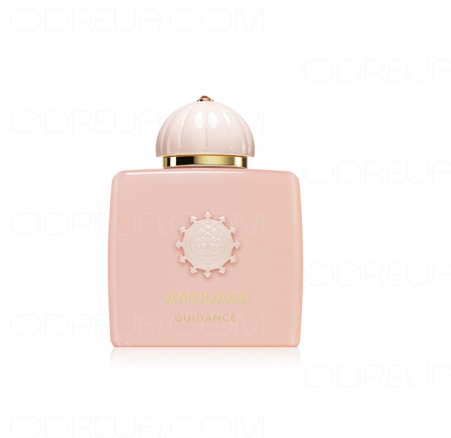 Amouage Guidance