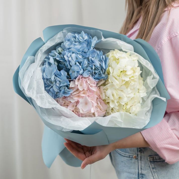 Гортензия от 3 шт (цвет микс)