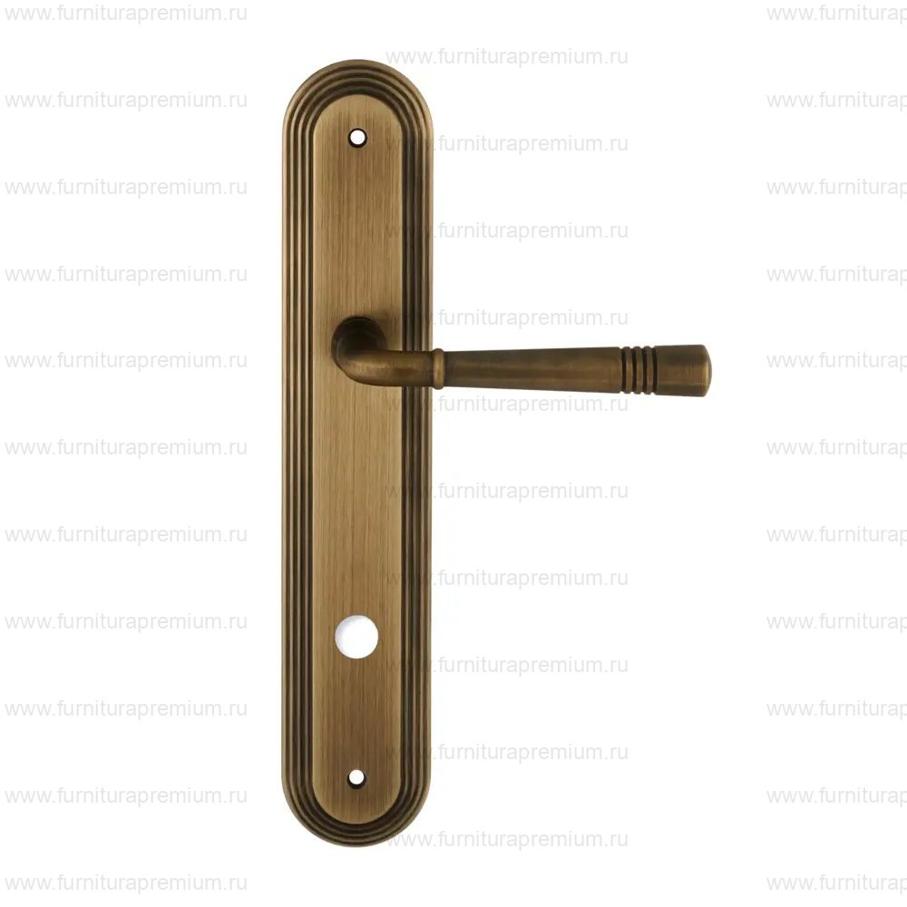 Ручка на планке Extreza Gusto 334 WC PL05