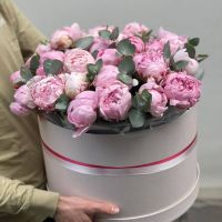 Композиция из 31 пиона в коробке