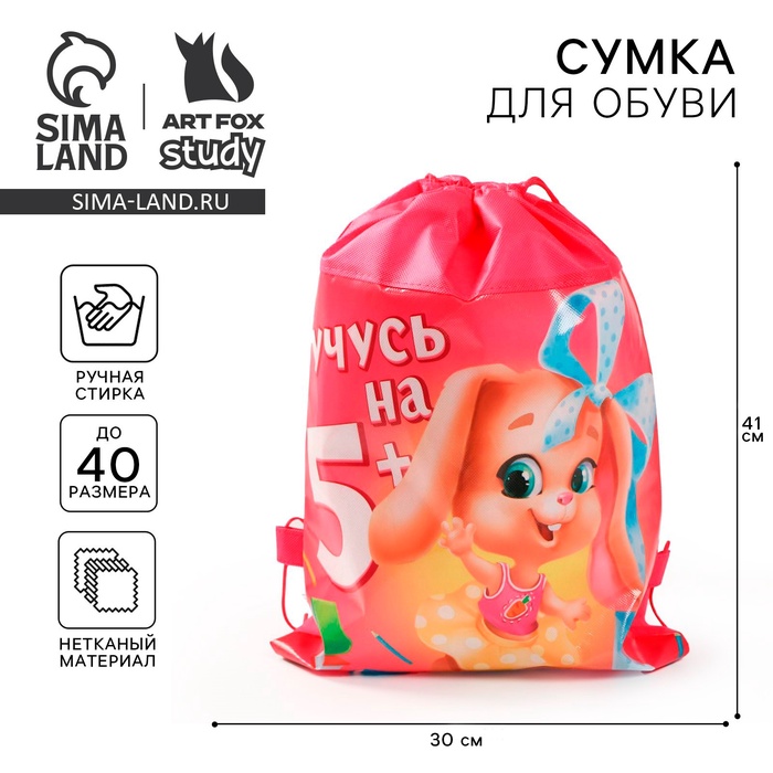 Мешок для обуви «Учусь на 5+» 41?30 см