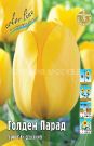 Tyulpan-Golden-Parad-11-12-darvinovskij-1-sht