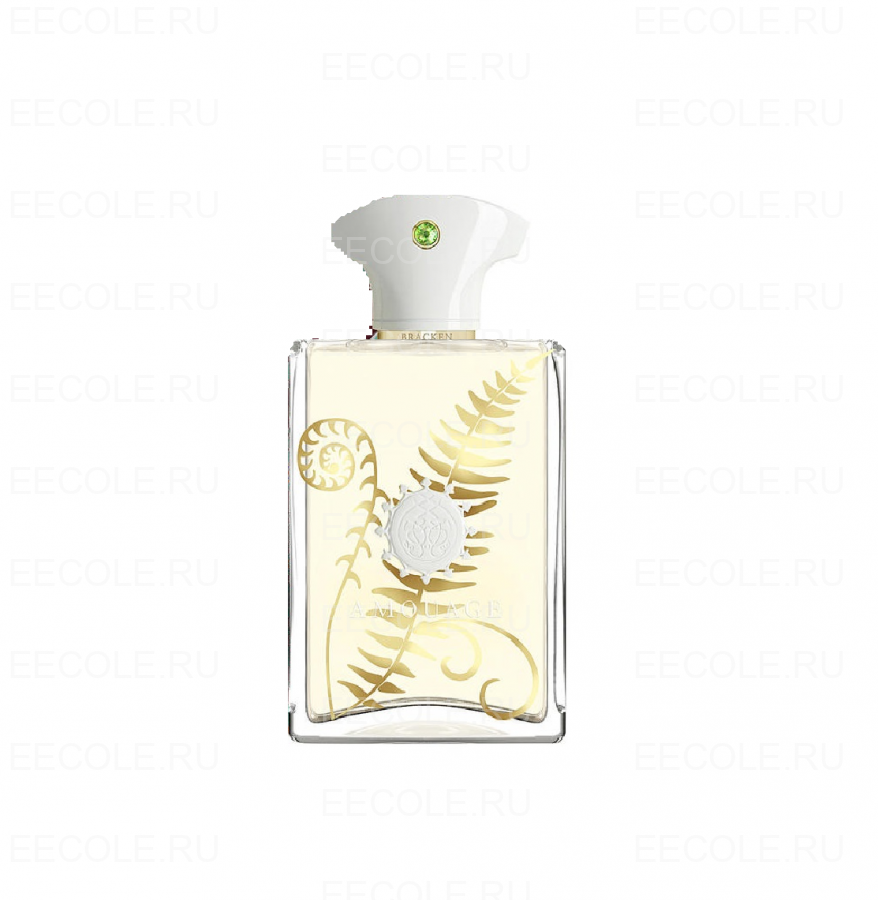 Fragrance World  Abraaj Brackish
