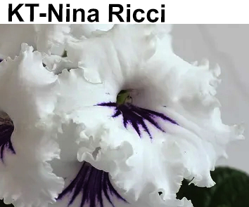 KT-Nina Ricci