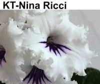 KT-Nina Ricci