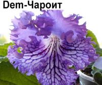 Dem-Чароит