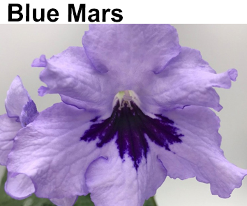Blue Mars  НОВИНКА КАТАЛОГА!