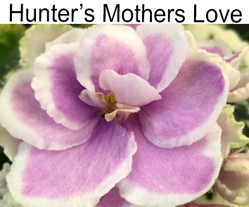 Hunter`s Mother Love  (K.Muzalewski)