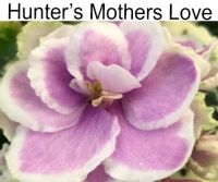 Hunter`s Mother Love
