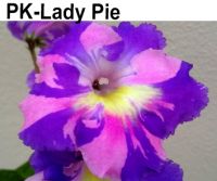 PK-Lady Pie