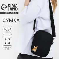 Сумка молодёжная на молнии, цвет чёрный