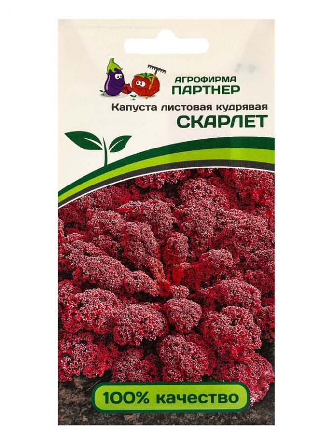 Семена Капуста листовая кудрявая "Скарлет", 0,3 г