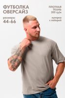 Футболка оверсайз мужская 14414/1 [серо-бежевый]