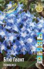 Hionodoksa-Blyu-Giant-5-6-10-sht