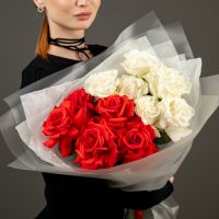 Красно-белые франц 11 шт