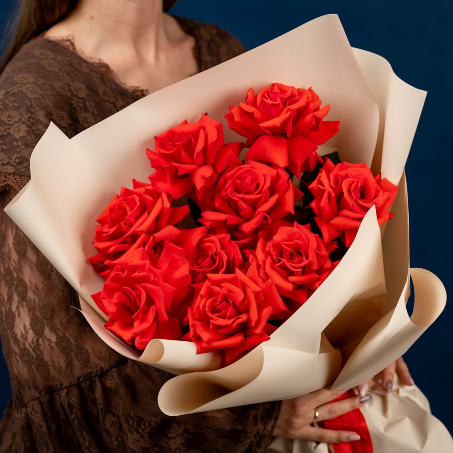 9 красных французов