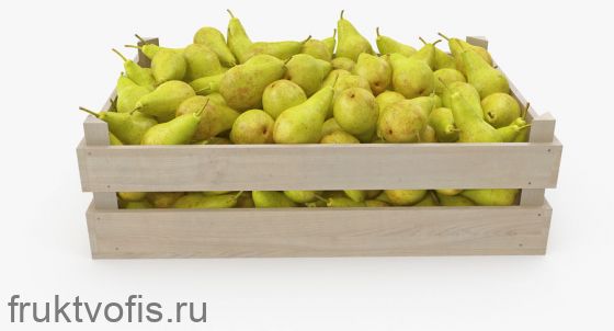 Коробка Груш Конференц 12 кг