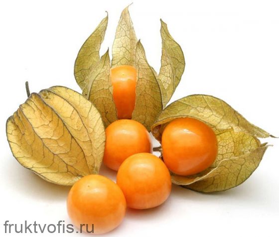 Физалис 1 кг