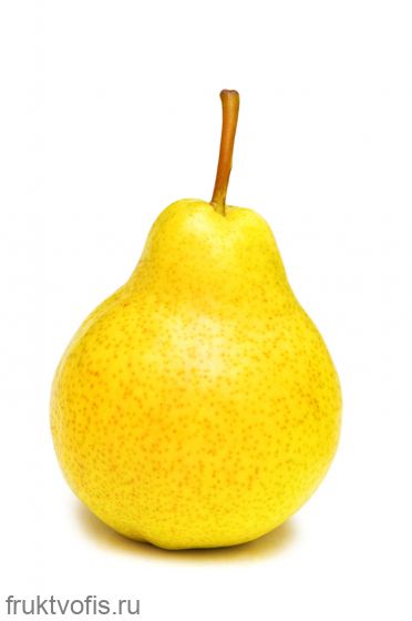 Ящик Груша Санта Мария 13 кг Ящик Груша Санта Мария 13 кг