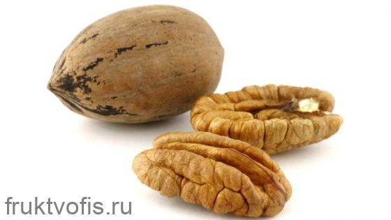 Орех Пекан неочищенный 1 кг Орех Пекан неочищенный 1 кг