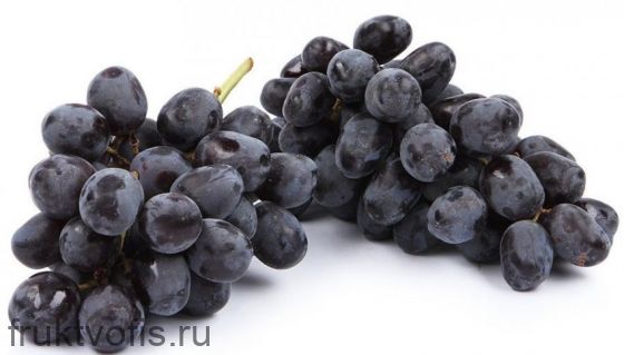 Виноград Мерседес Узбекистан Виноград Мерседес Узбекистан