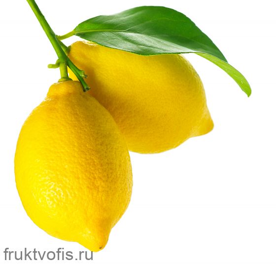 Лимон Узбекский Лимон Узбекский