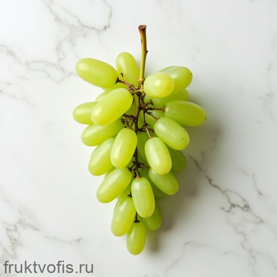 Виноград зеленый "Дамский Пальчик" Виноград зеленый "Дамский Пальчик"