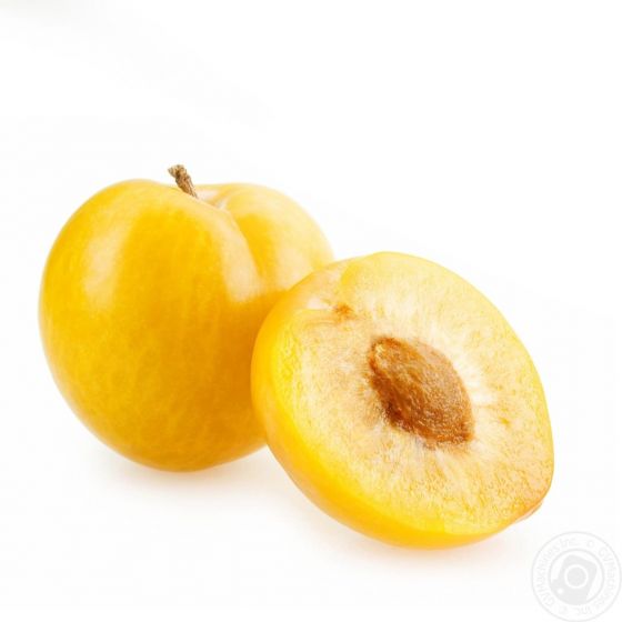 Слива желтая