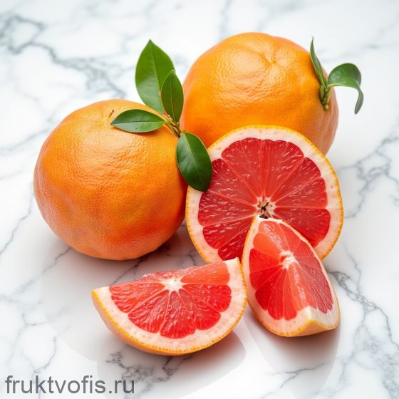 Грейпфрут Грейпфрут