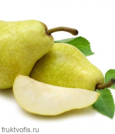 Груша новый урожай Губа Груша новый урожай Губа