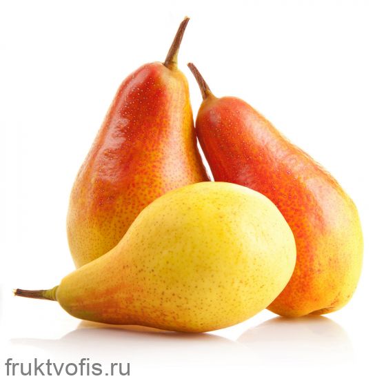 Груша Аббат Груша Аббат