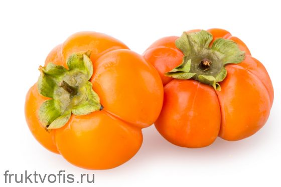 Хурма Ромашка Хурма Ромашка