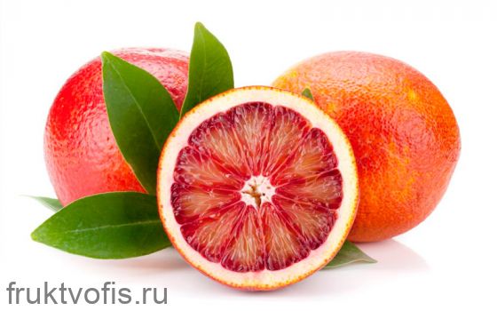 Апельсины Вашингтон Апельсины Вашингтон