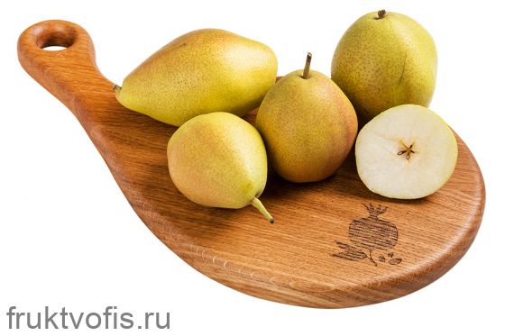 Груша Вермонт Груша Вермонт