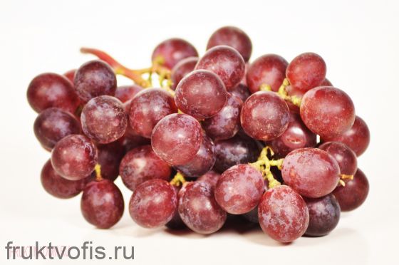 Виноград Кардинал Виноград Кардинал