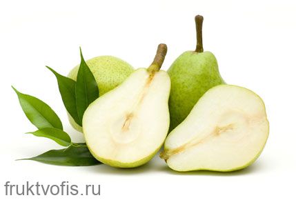 Груша южная Груша южная