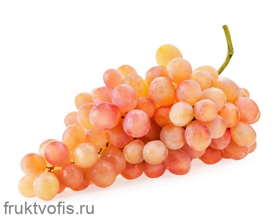 Виноград Тайфи Виноград Тайфи