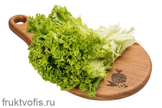 _Салат Био листовой в горшочке