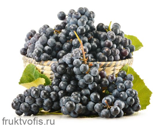 Виноград Черный  (с косточкой)