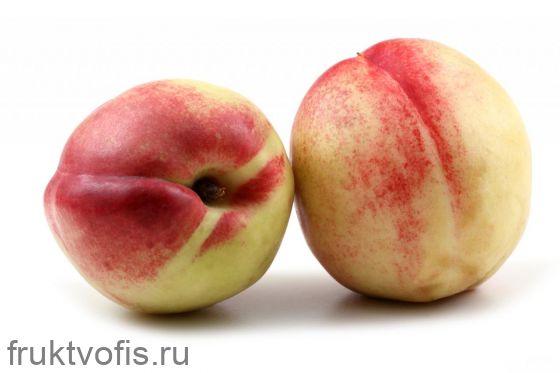 Нектарин Иранский Нектарин Иранский