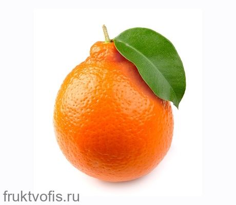 Минеола Минеола