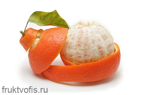 Минеола Минеола