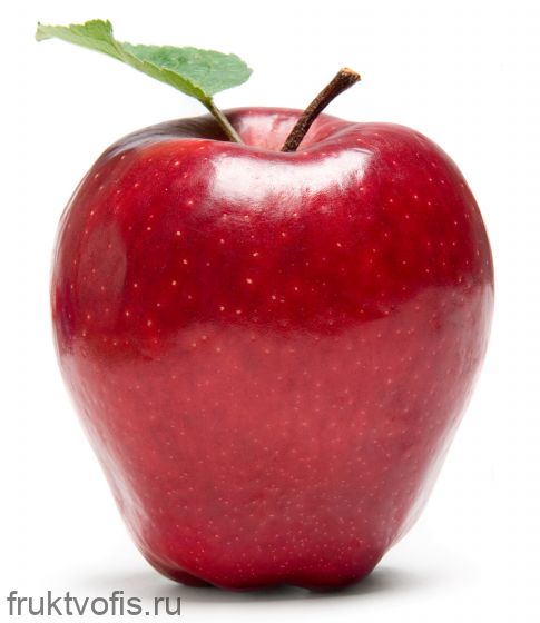 Яблоки Флорина Яблоки Флорина