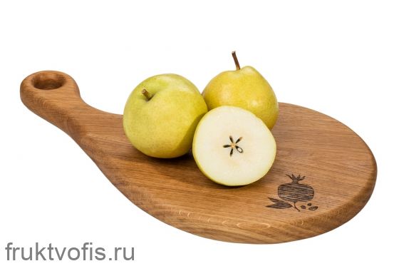 Груша Анжу Груша Анжу