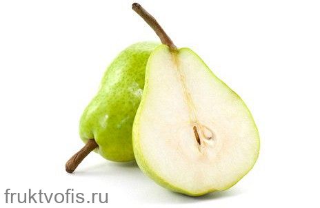 Груша Анжу Груша Анжу