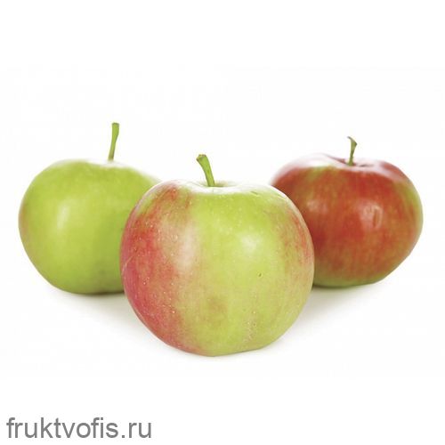 Яблоки Слава Победителю Яблоки Слава Победителю